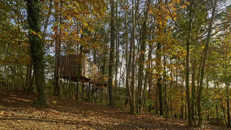 Cabañas en los árboles Galicia
